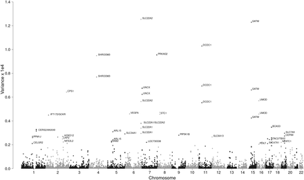 Fig 1.