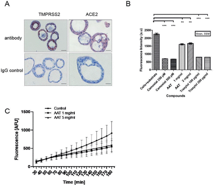 Figure 2: