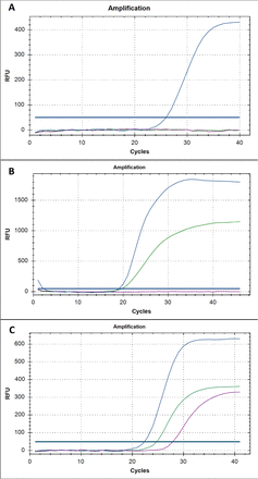 Fig 2.
