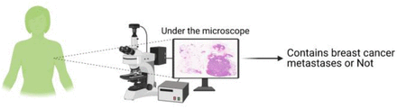 Figure 2: