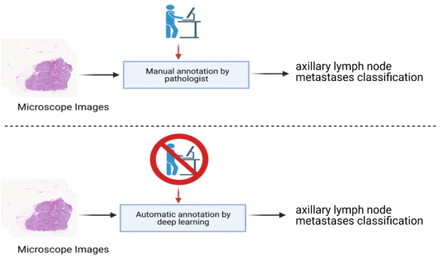 Figure 3:
