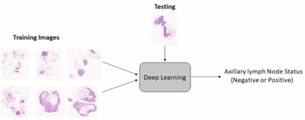 Figure 4: