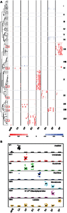 Fig. 2.