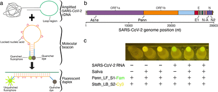 Fig. 1.