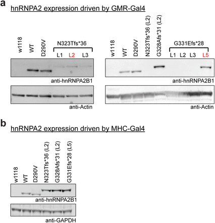 Supplementary Fig. 5.