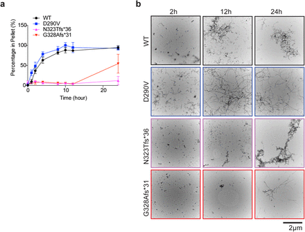 Supplementary Fig. 6.