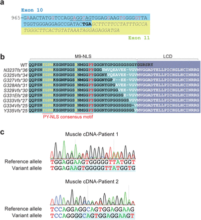 Supplementary Fig. 2.