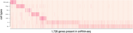 Supplementary Figure 1.