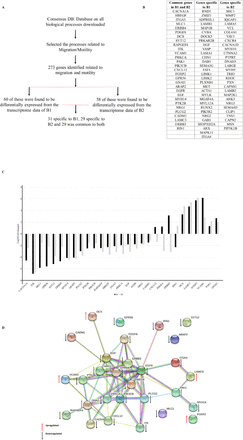 Figure 2: