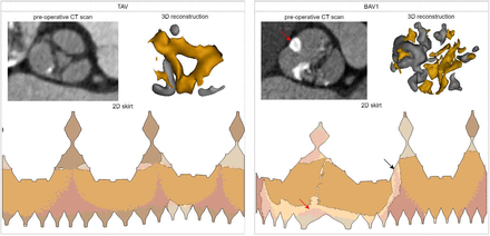 Figure 6.