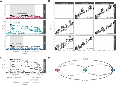 Fig. 2:
