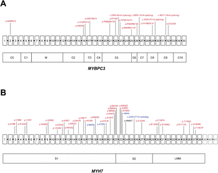 Figure 1: