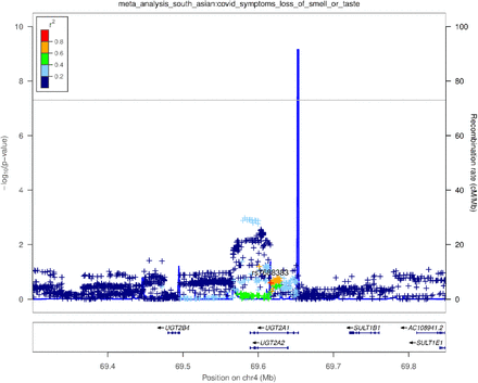 Supplementary Figure 11: