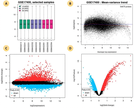 Figure 1B.