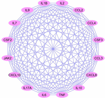 Figure 2B.