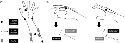 Fig.1