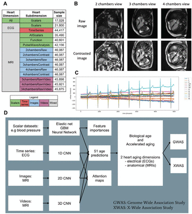 Figure 1: