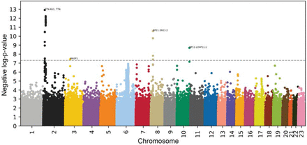 Figure 4: