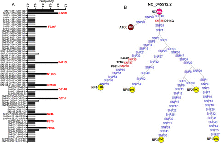 Figure 4: