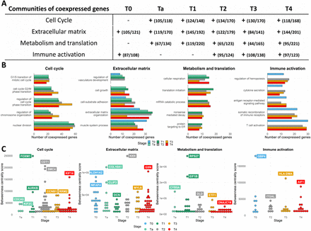 Figure 4: