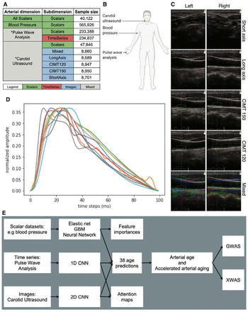 Figure 1: