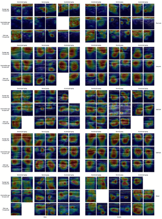 Figure 3: