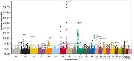 Figure 4: