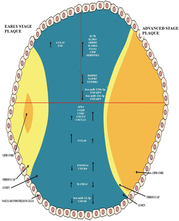 Supplementary Figure 2:
