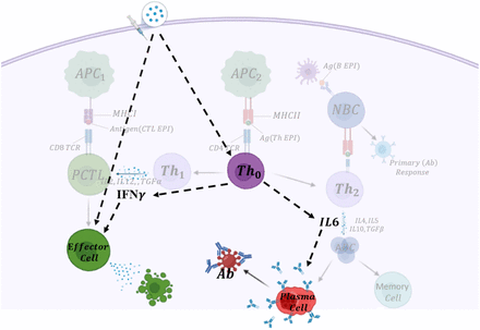 Figure 1: