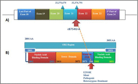 Figure 2.