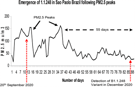 Chart 17.