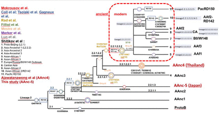 Figure 2: