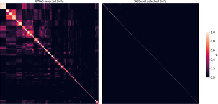 Fig 6.