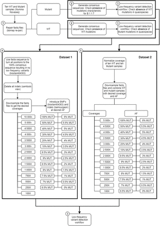 Figure 1: