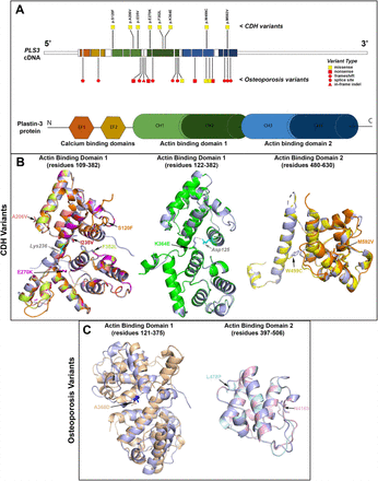 FIGURE 3