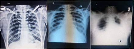 Figure 1:
