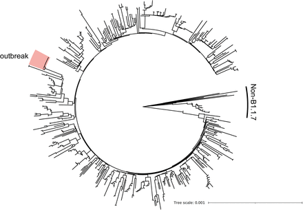 Figure 1:
