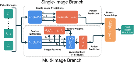 Figure 2: