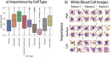 Figure 4: