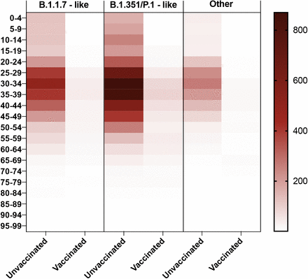 Figure 3:
