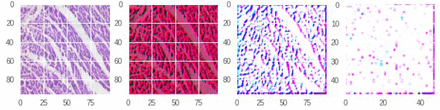 Figure 14: