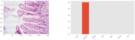 Figure 3:
