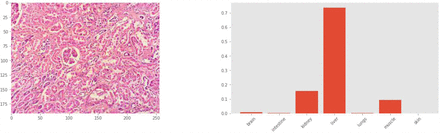 Figure 7: