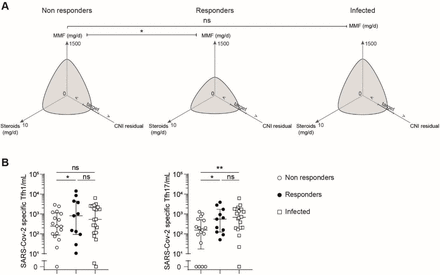 Figure 5: