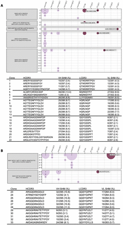 Fig 6.