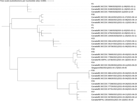 Figure 4: