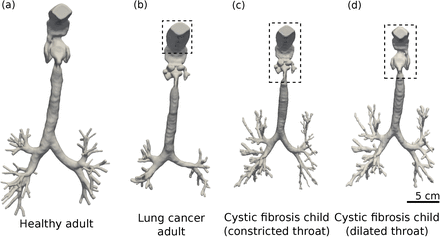 Figure 1: