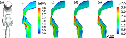 Figure 3: