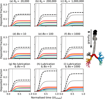 Figure 5: