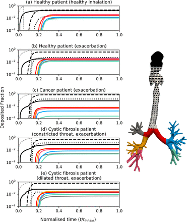 Figure 6: